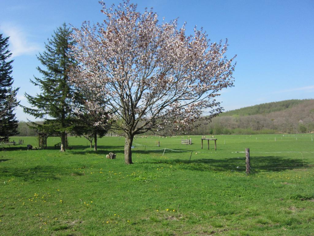 Вилла Yorkshire Farm Shintoku Экстерьер фото