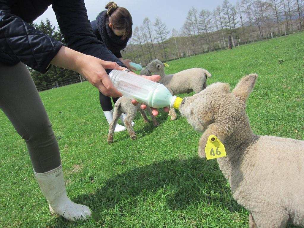Вилла Yorkshire Farm Shintoku Экстерьер фото