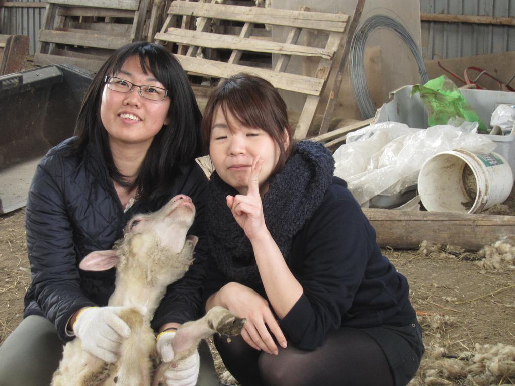 Вилла Yorkshire Farm Shintoku Экстерьер фото