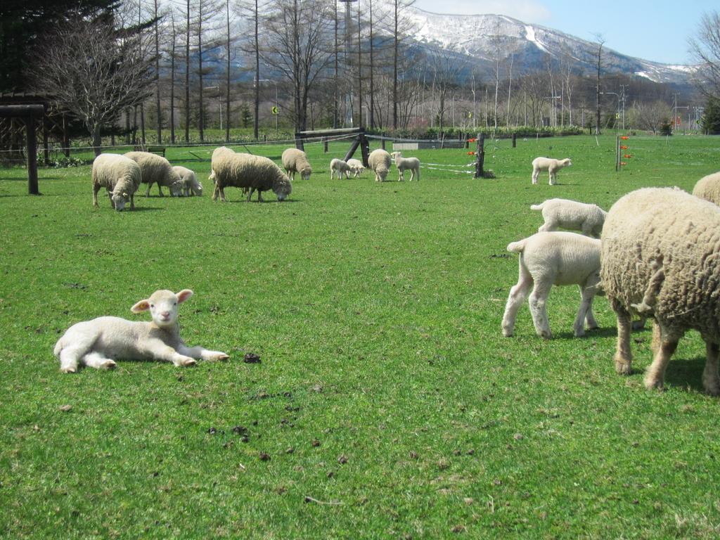 Вилла Yorkshire Farm Shintoku Экстерьер фото