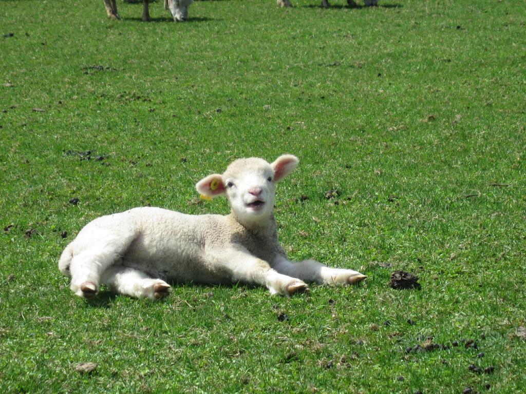 Вилла Yorkshire Farm Shintoku Экстерьер фото