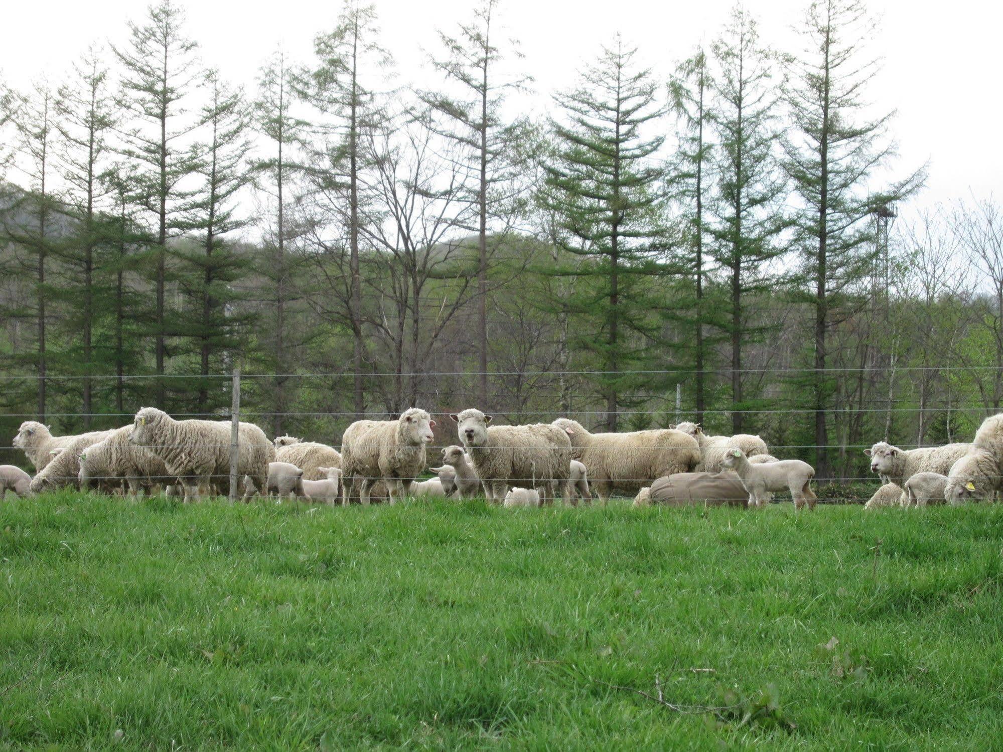 Вилла Yorkshire Farm Shintoku Экстерьер фото